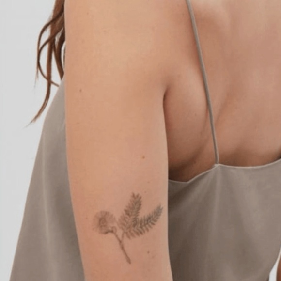 Everlane Washable Silk Cropped Cami - Size 2 - Picture 2 of 6